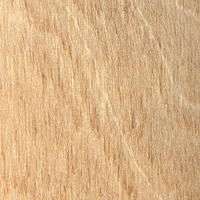 Plážové lehátko typ