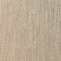 Plážové lehátko typ